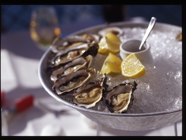 oysters.jpg
